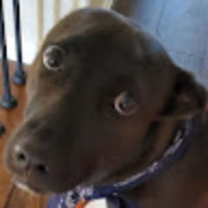 Meet your Posher, Sangmin